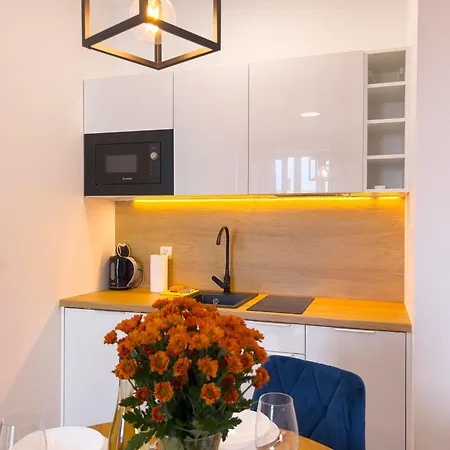 公寓 Summer Lofts Premium With Sea View, Parking 尤斯托尼莫斯基