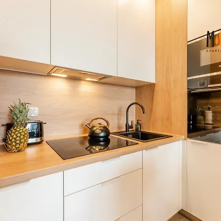 Summer Lofts Premium With Sea View, Parking By Mspro 公寓 尤斯托尼莫斯基