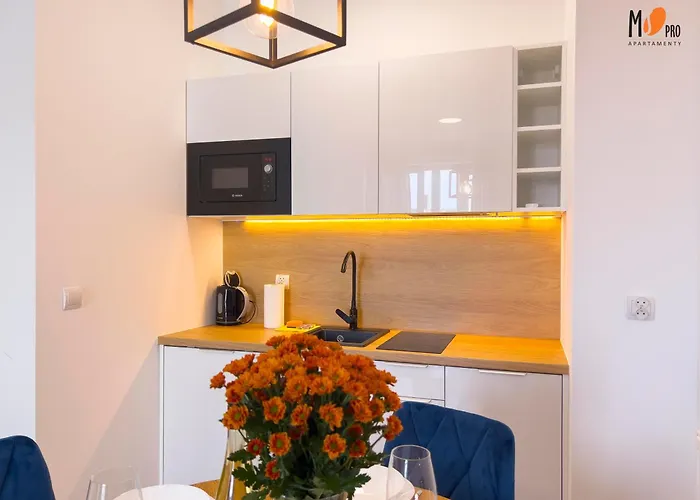 Daire Summer Lofts Premium With Sea View, Parking Ustronie Morskie