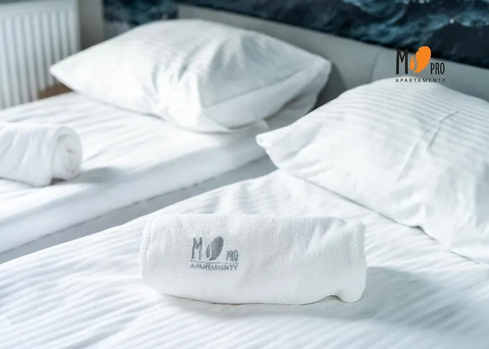 Summer Lofts Premium With Sea View, Parking 公寓 尤斯托尼莫斯基